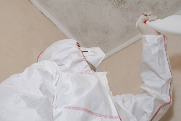 Best Industrial Mold Remediation in Byers, CO